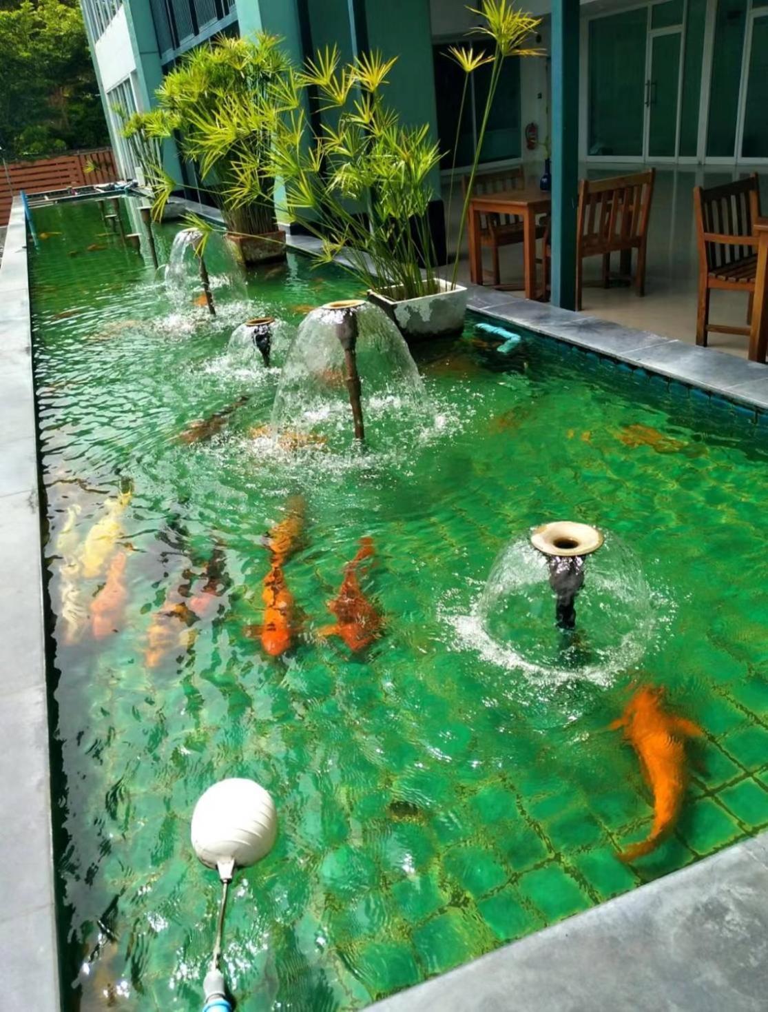 Apartment Hyatt Beachfront Escape *